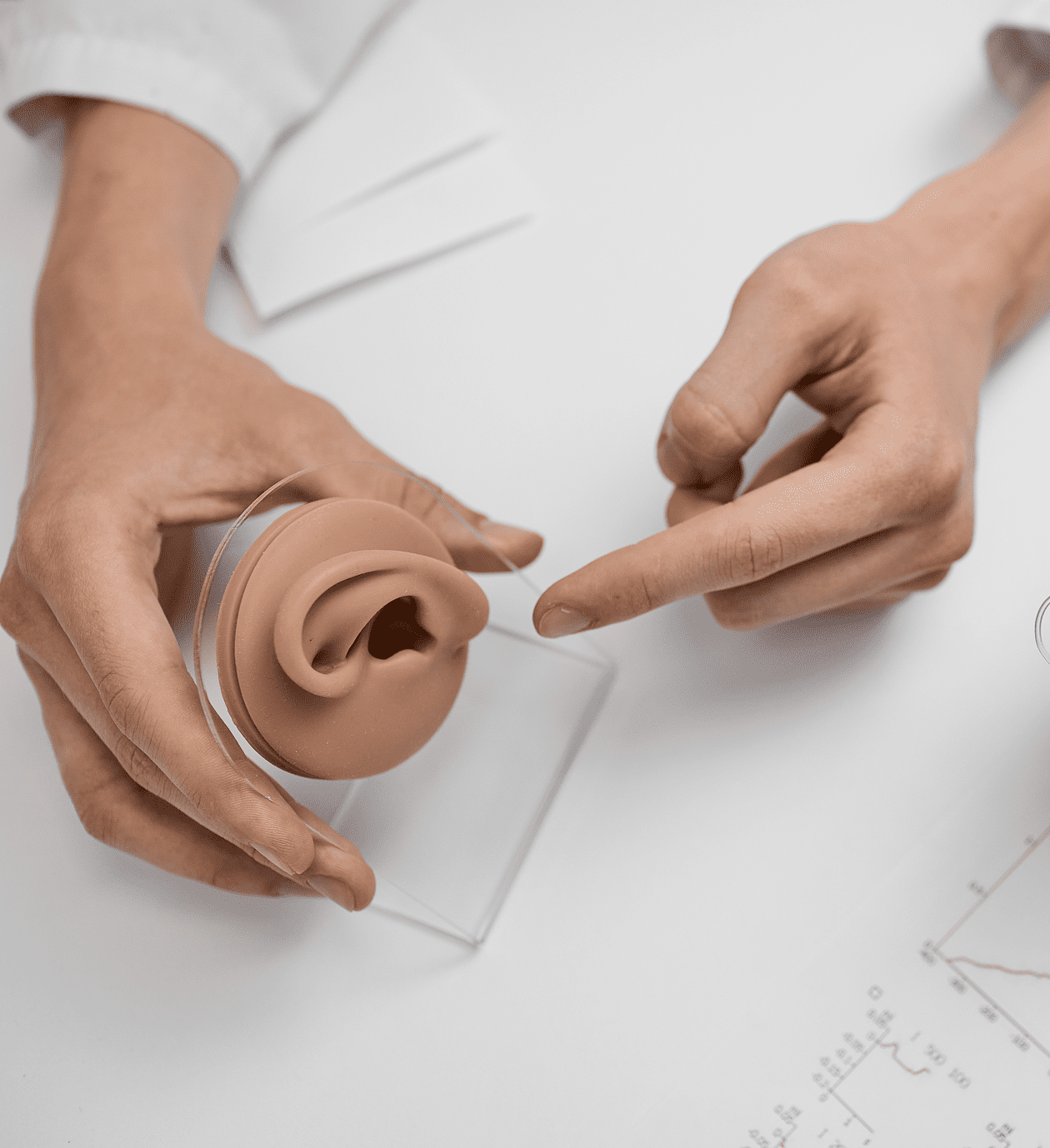 Hands holding and pointing at ear model.